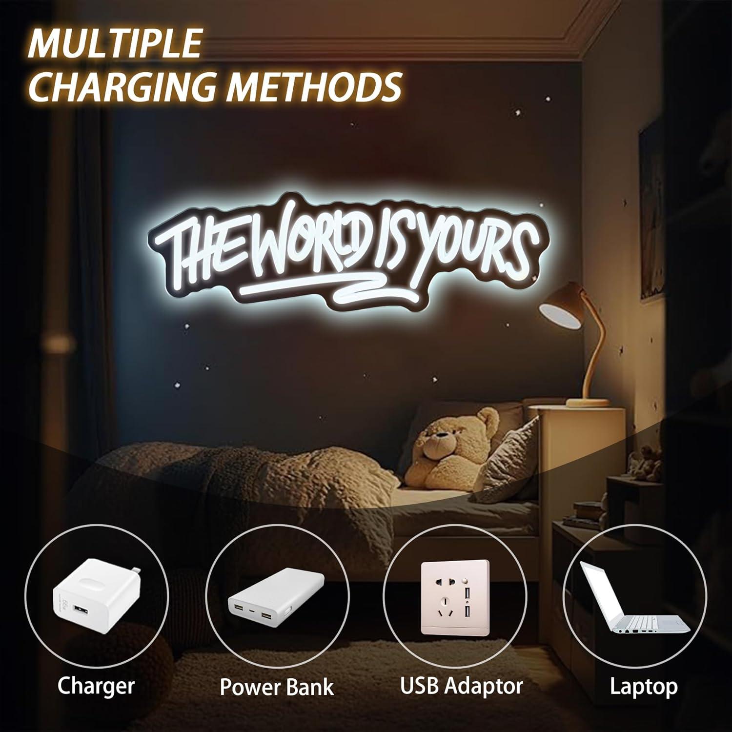 The World is Yours Neon Sign U - Beer & Wine Jockey Plaza Shopping recension och pris